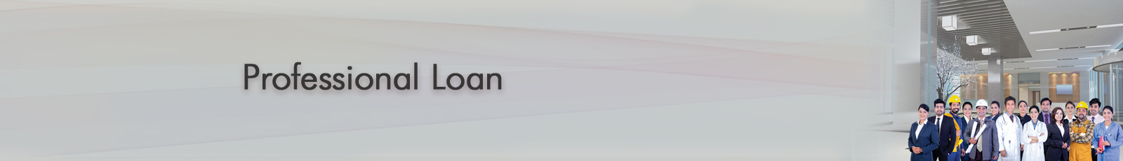 Professional Loan